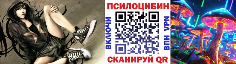 цена   Каменск-Шахтинский  Галлюциногенные грибы мицелий 